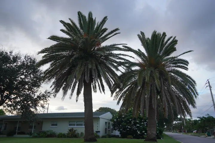 Space Coast photo