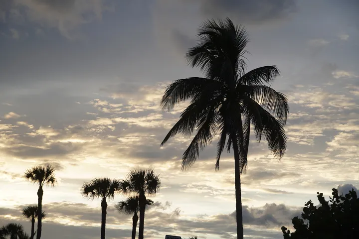 Space Coast photo