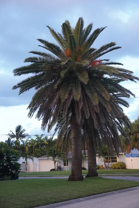 Space Coast photo