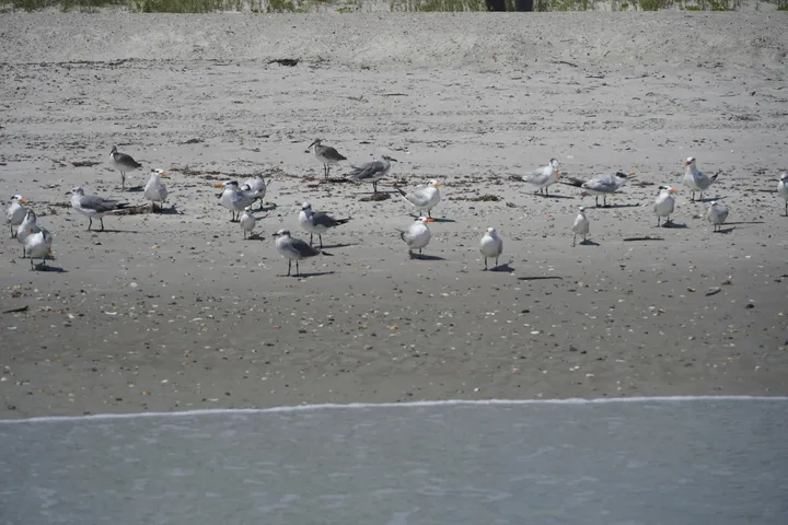Space Coast photo