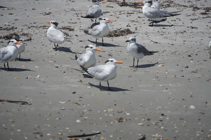 Space Coast photo