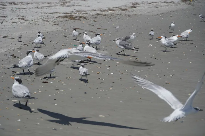 Space Coast photo