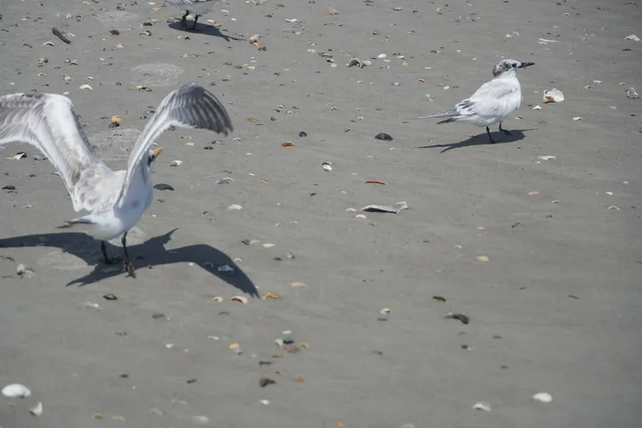 Space Coast photo