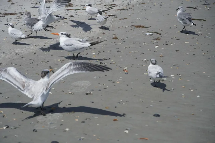 Space Coast photo