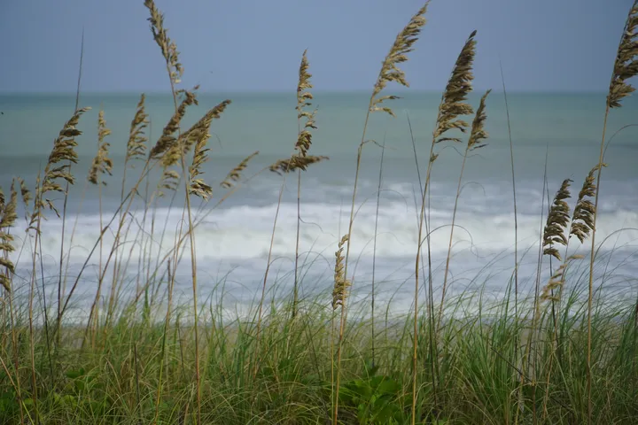 Space Coast photo