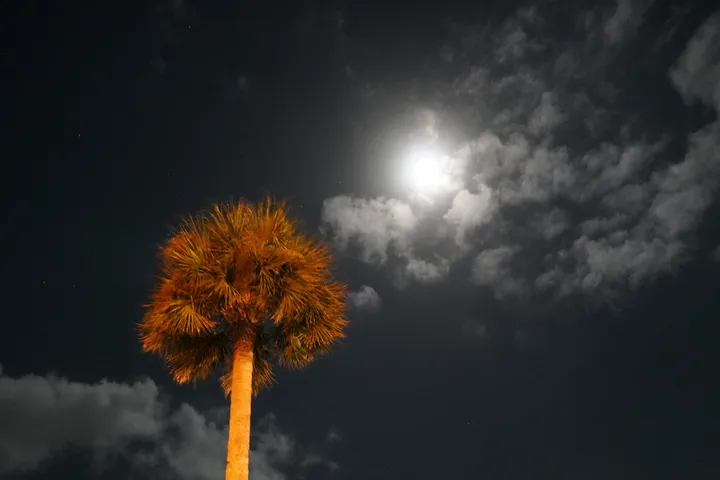 Space Coast photo