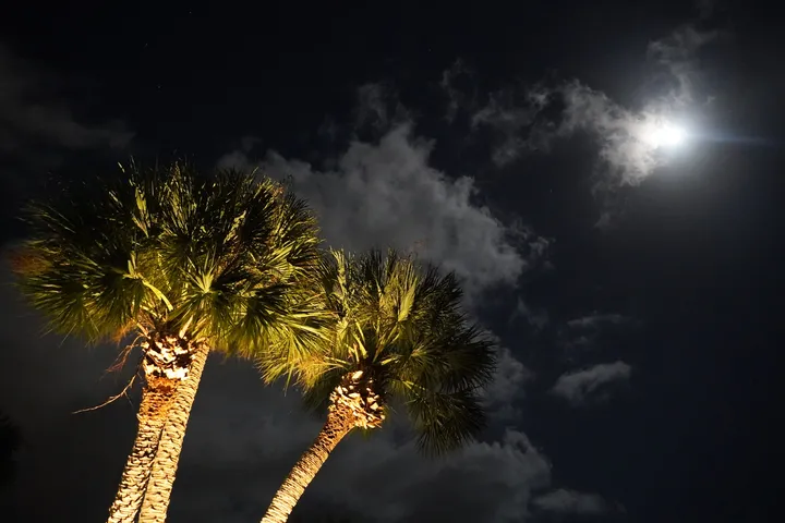 Space Coast photo