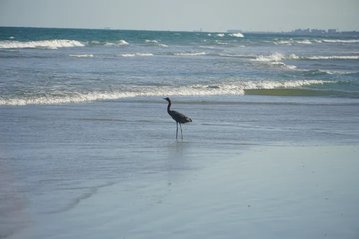Space Coast photo