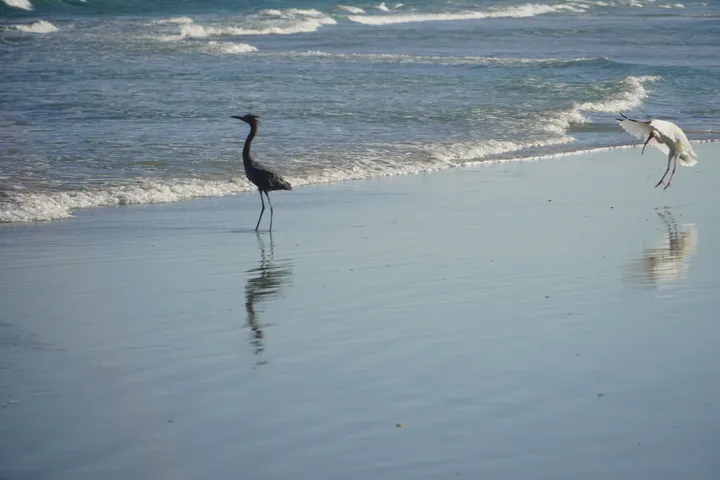 Space Coast photo