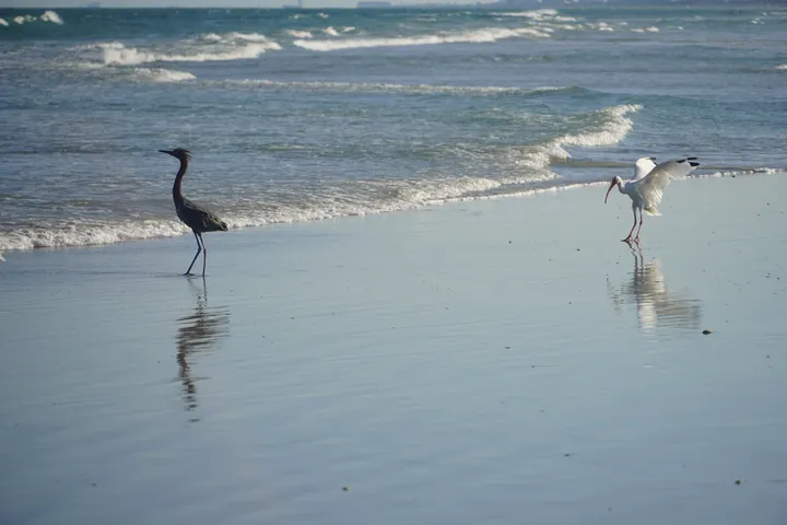 Space Coast photo