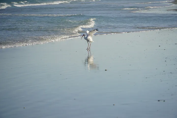 Space Coast photo