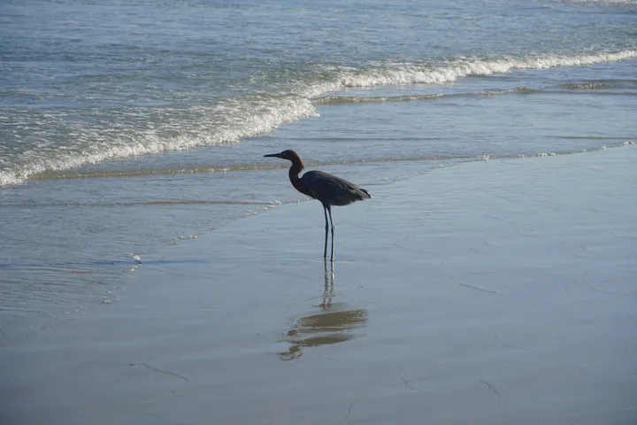 Space Coast photo