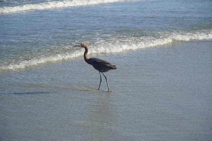 Space Coast photo
