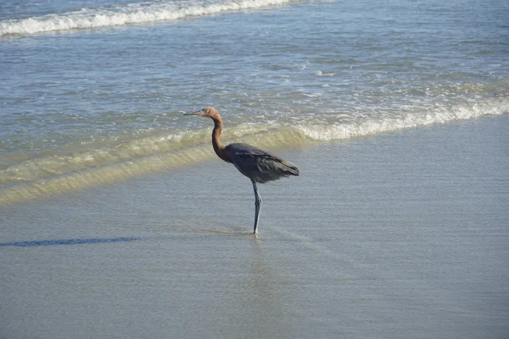 Space Coast photo