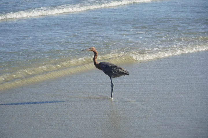 Space Coast photo