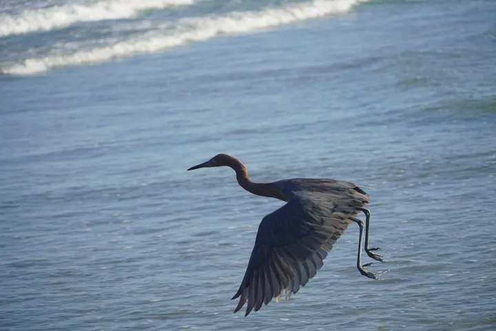 Space Coast photo