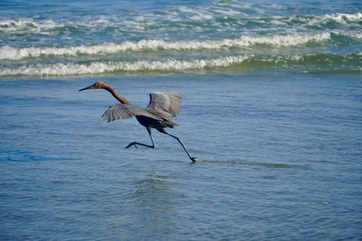 Space Coast photo