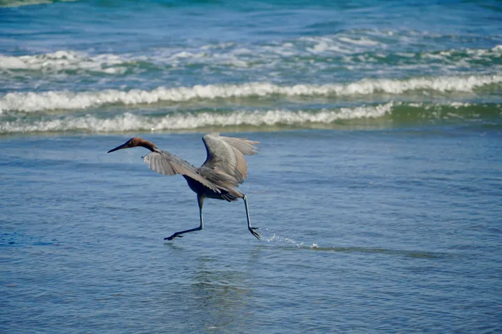 Space Coast photo