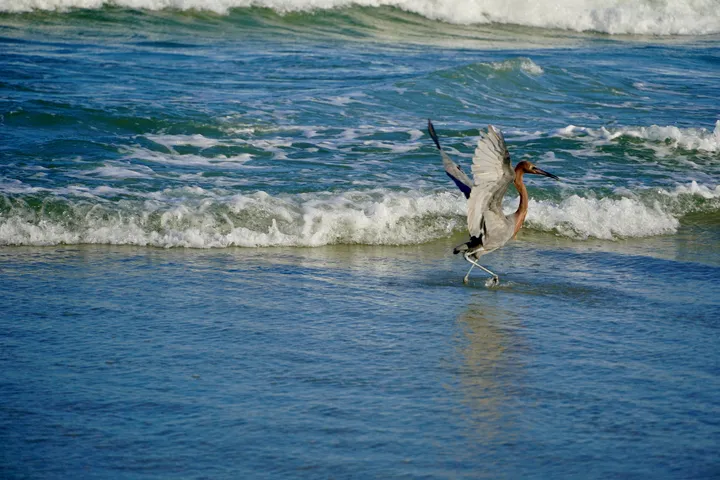 Space Coast photo