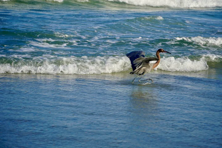 Space Coast photo