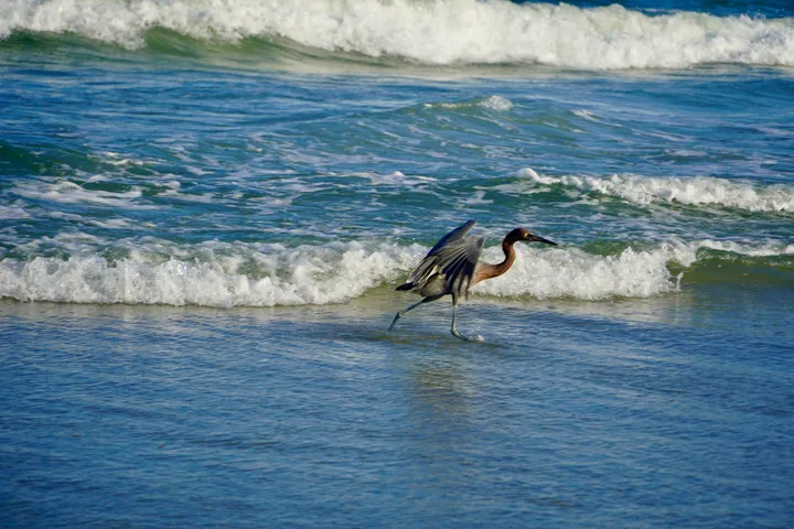 Space Coast photo
