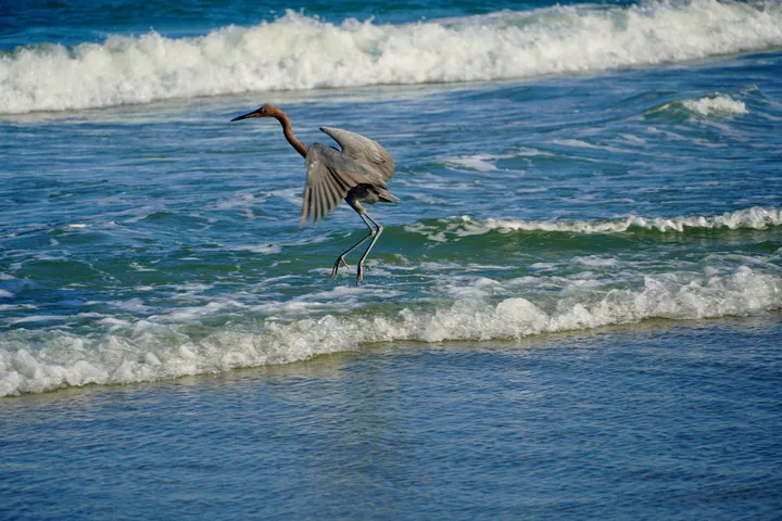 Space Coast photo