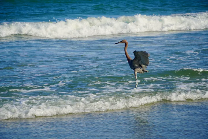 Space Coast photo