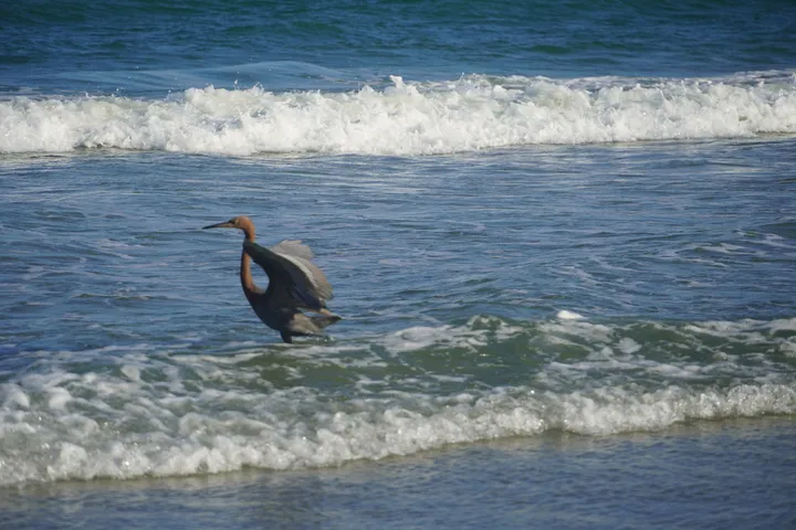 Space Coast photo