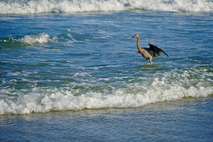 Space Coast photo
