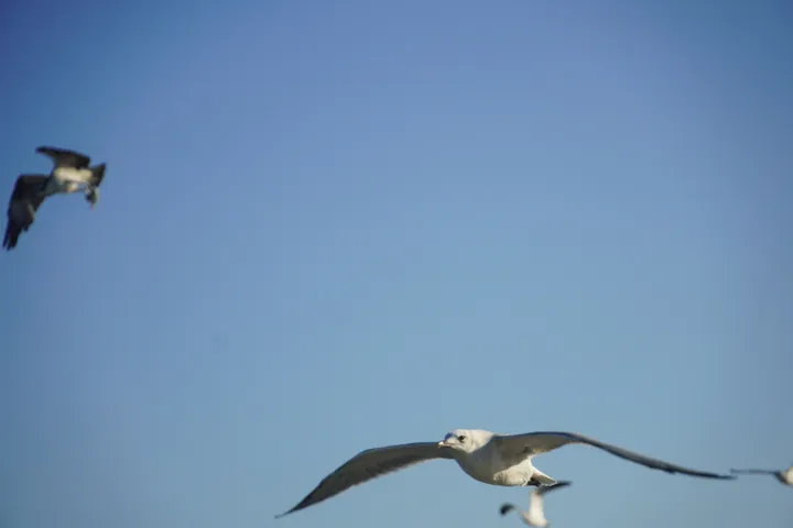 Space Coast photo