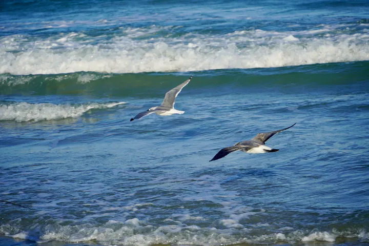 Space Coast photo