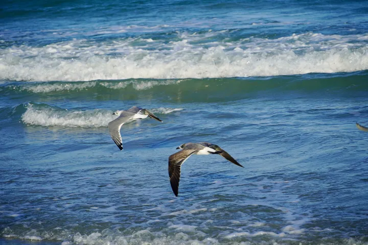 Space Coast photo