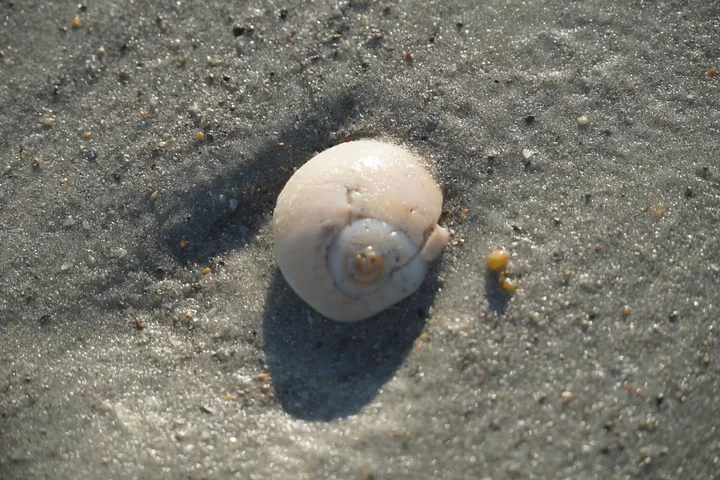 Space Coast photo