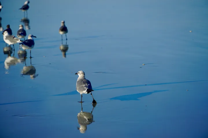 Space Coast photo