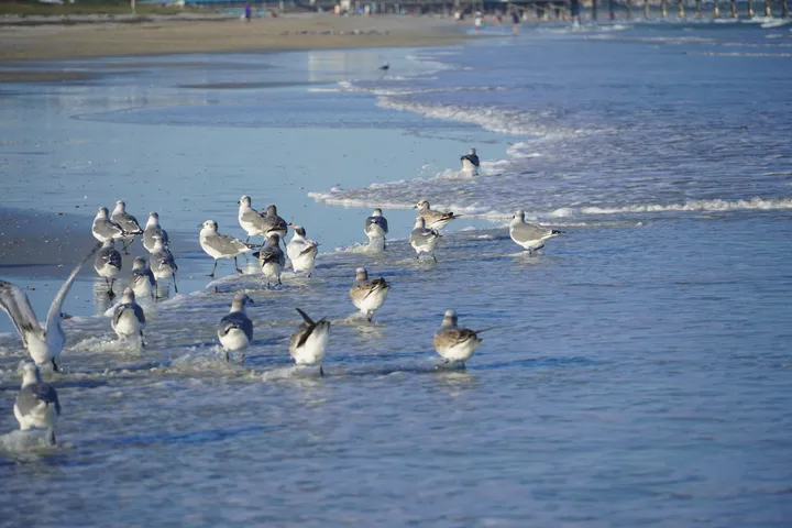 Space Coast photo