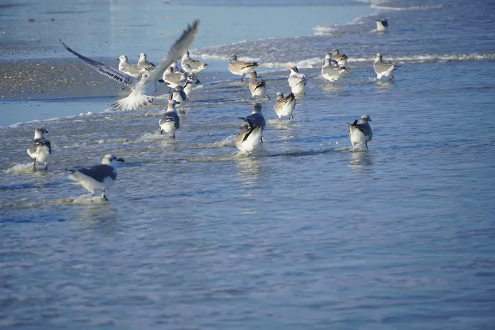 Space Coast photo