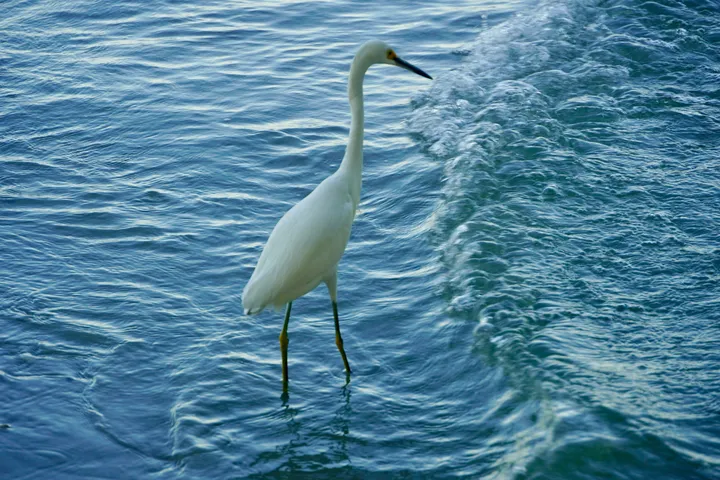 Space Coast photo