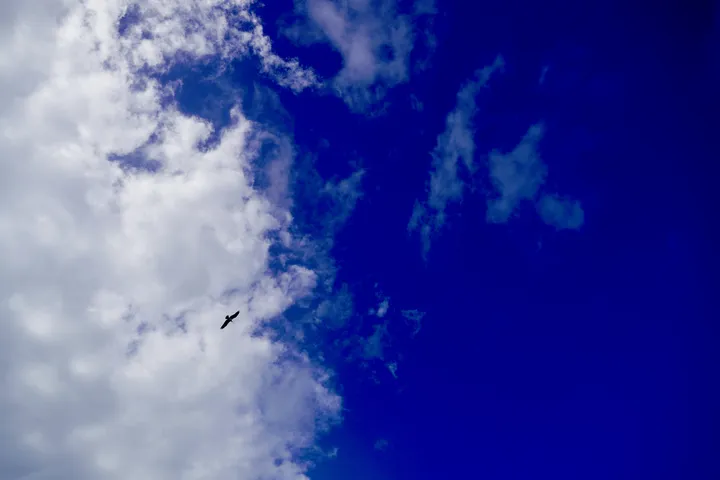 Space Coast photo