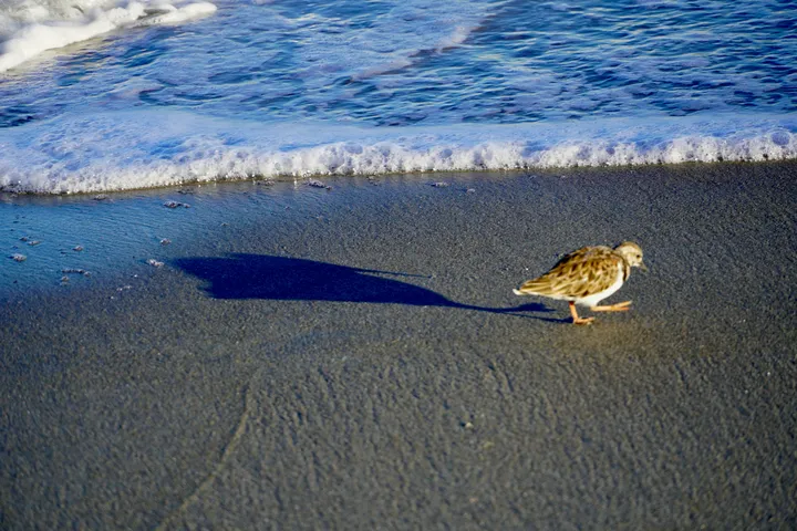 Space Coast photo