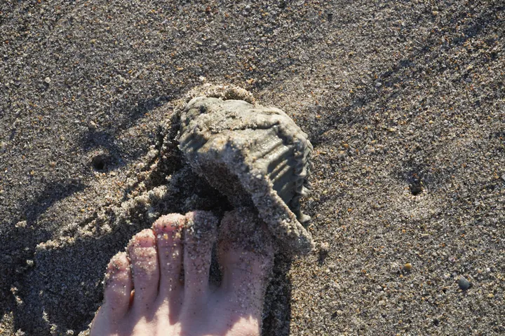 Space Coast photo