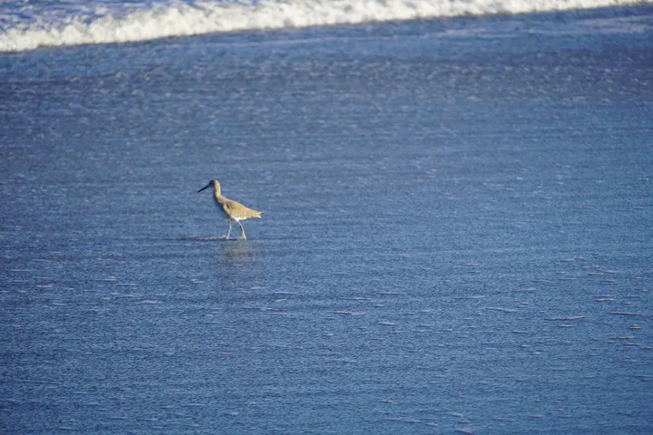 Space Coast photo