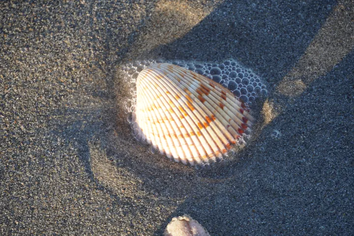 Space Coast photo