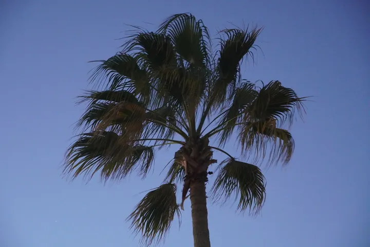 Space Coast photo