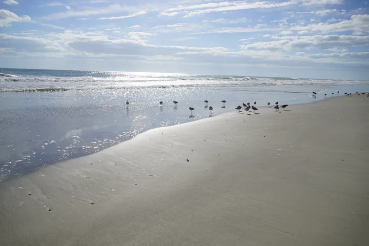 Space Coast photo