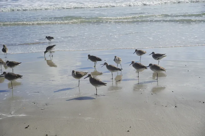 Space Coast photo