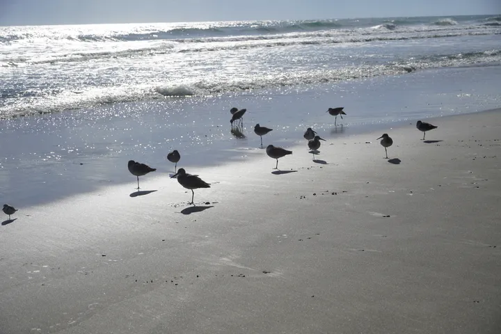 Space Coast photo