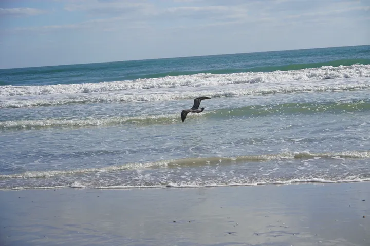 Space Coast photo