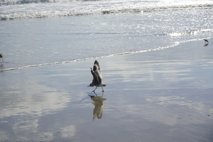 Space Coast photo