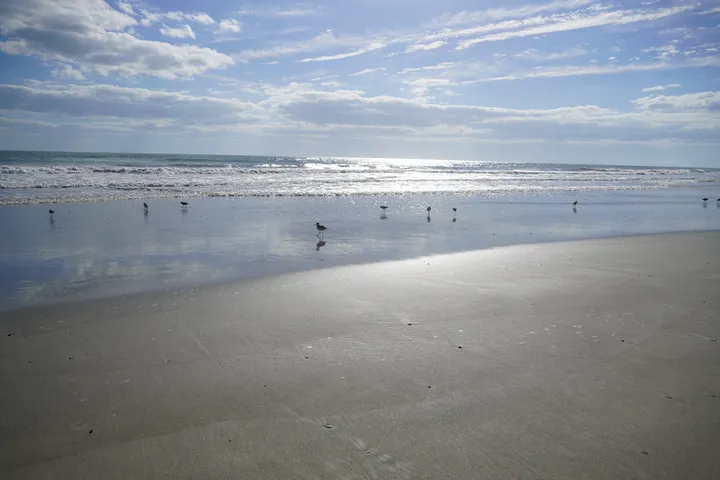 Space Coast photo