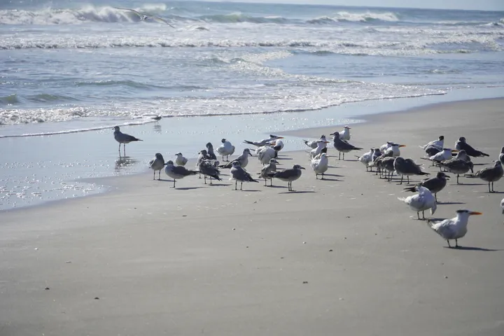 Space Coast photo